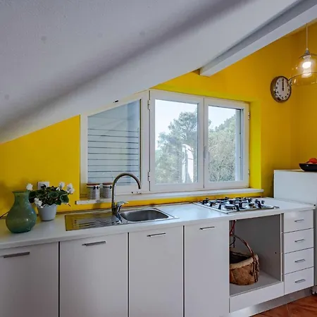 Nice In Pupnat With Wifi And 5 Bedrooms Pupnatska Luka